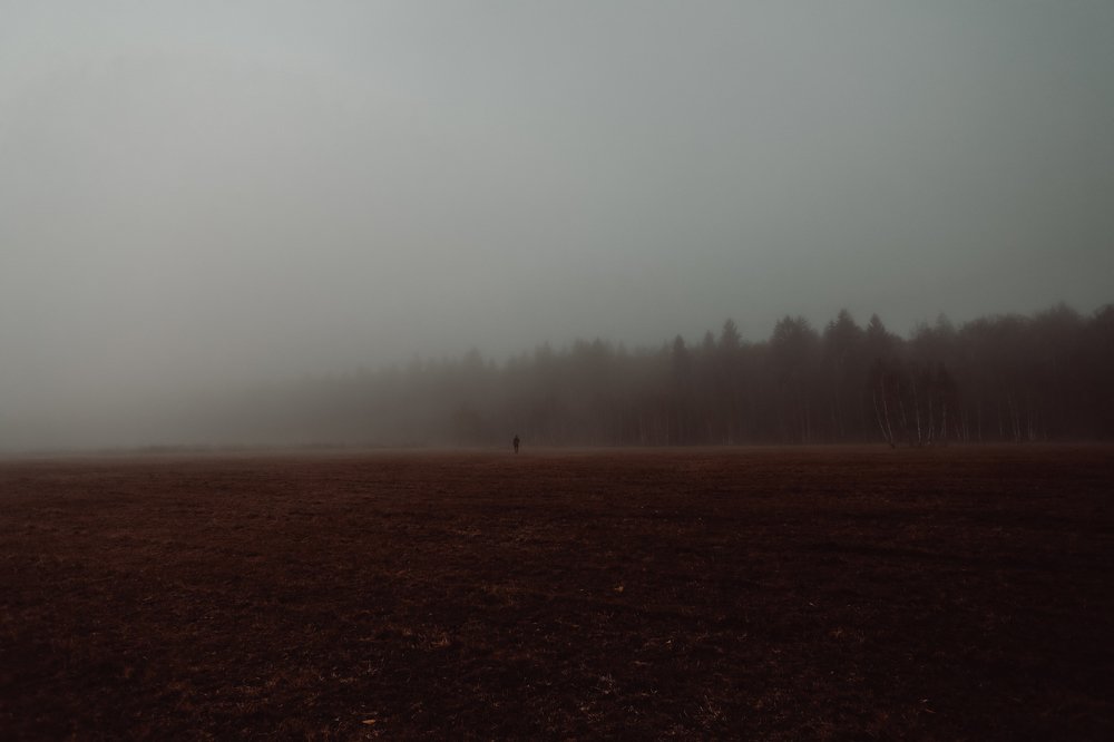 Photograph by Alina Mitrea