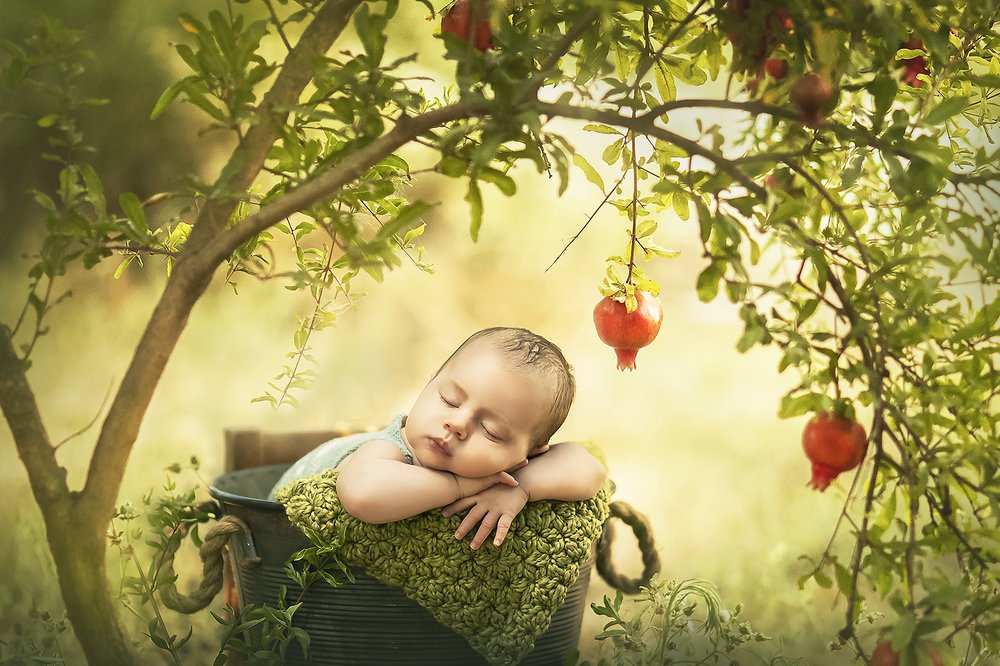 Фотография автора Limor David Samovich