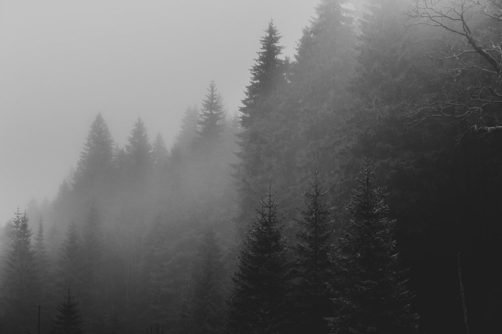 Photograph by Alina Mitrea