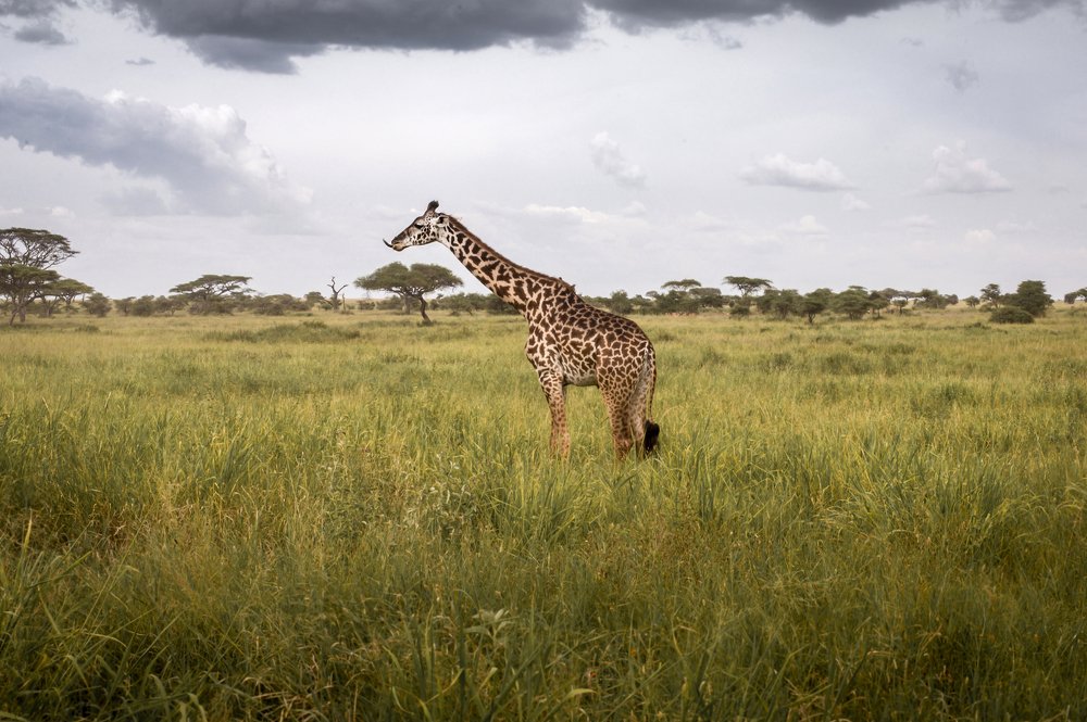 Photograph by Alina Mitrea