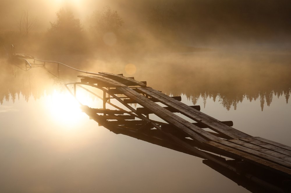 Photograph by Лежнева Ирина