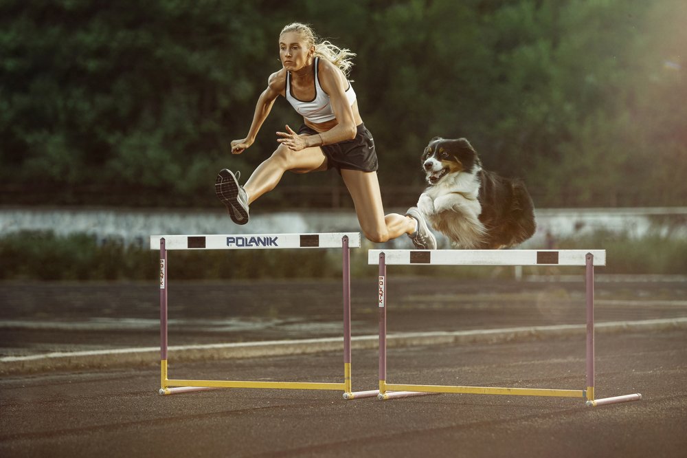 Photograph by Lustre