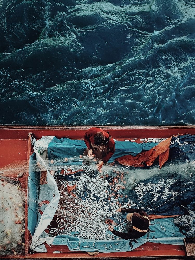 Photograph by Ahmad Mansour