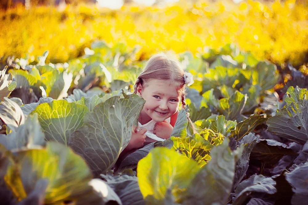 Photograph by Алина Кушнирук