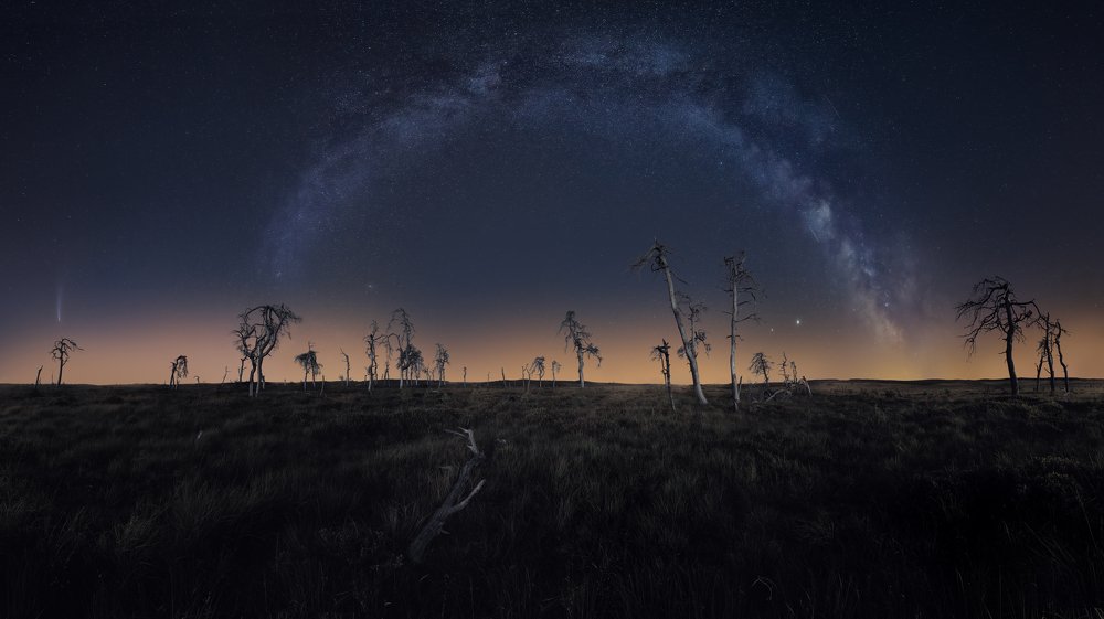Neowise and the talking tree
