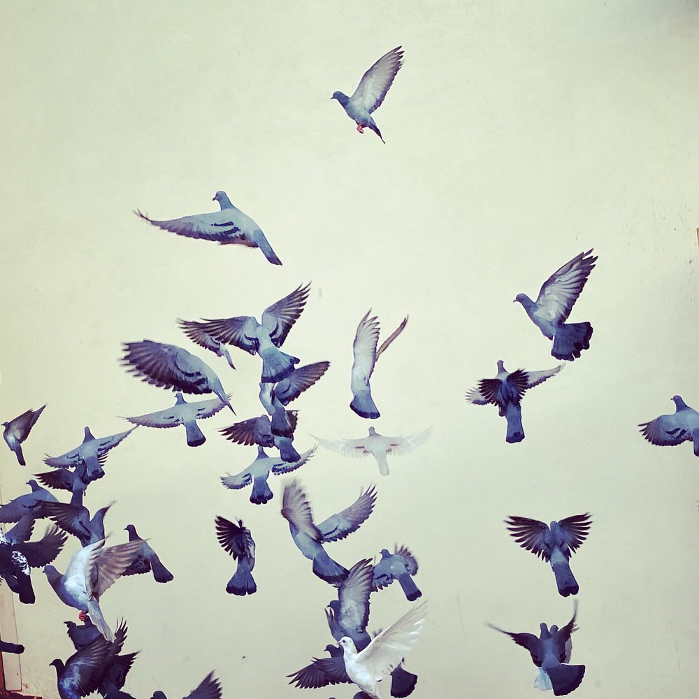 Фотография автора Naren Telluri