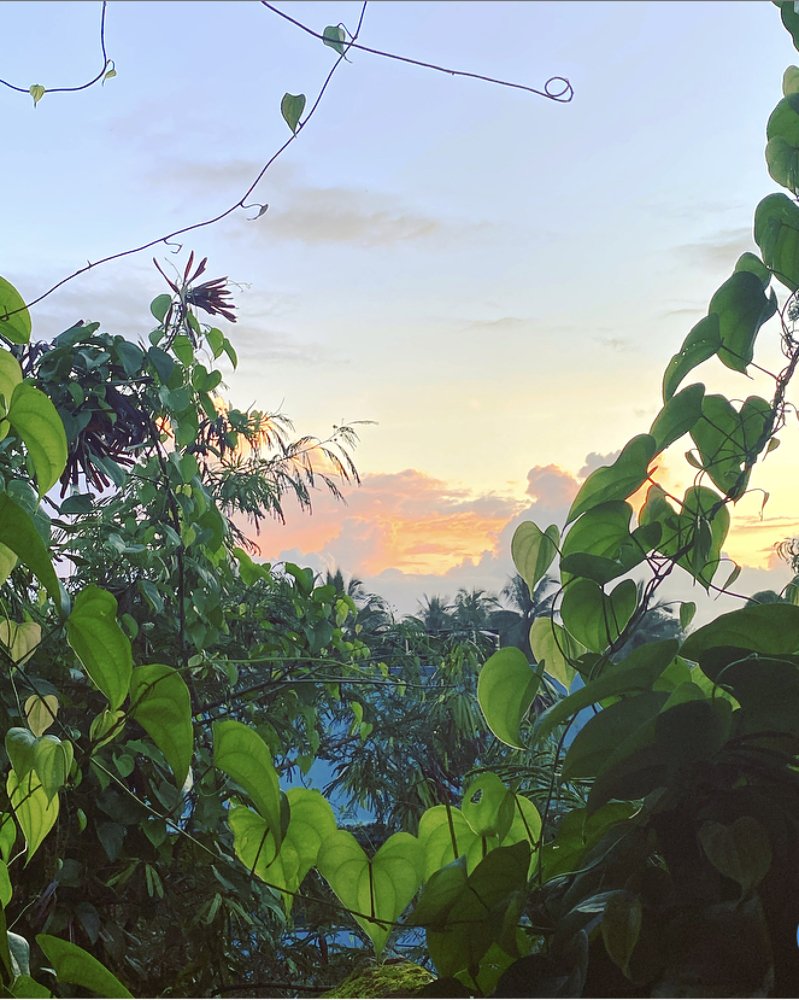 Фотография автора Naren Telluri