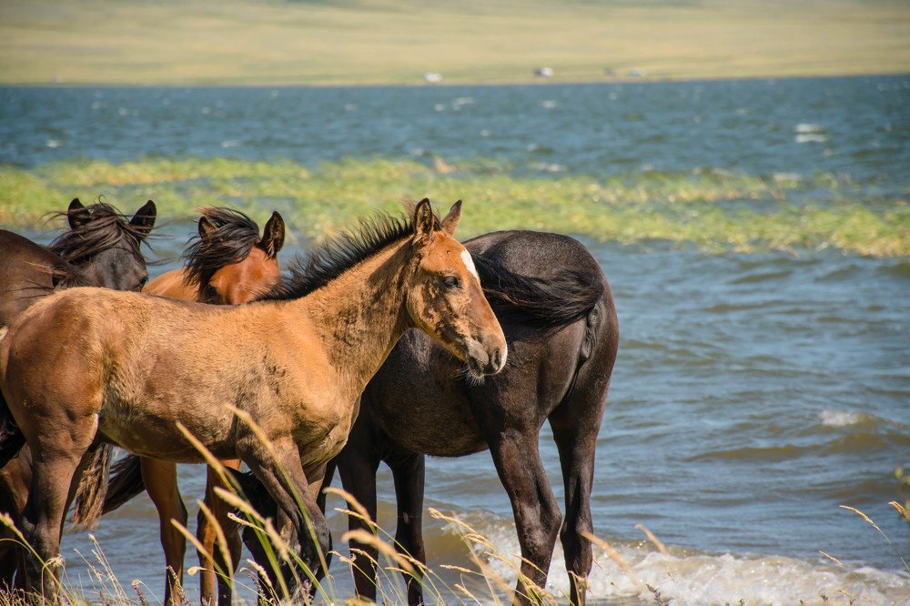 Photograph by Елена Прохорова
