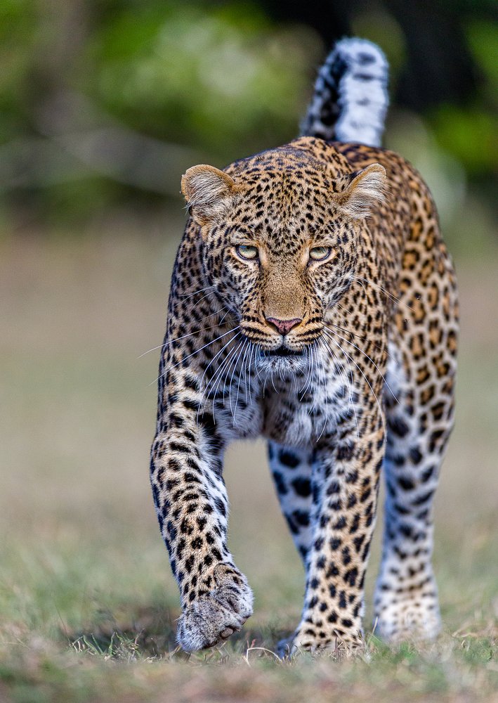 Photograph by Ruzdi Ekenheim