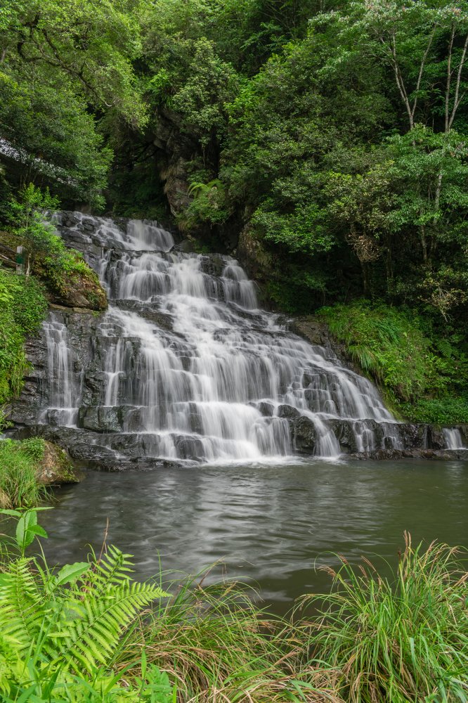 Life flows on the steps of a waterfall