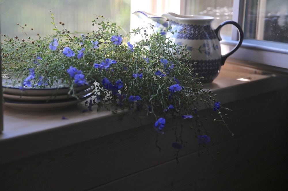 Фотография автора Наталья Васько -Черданцева