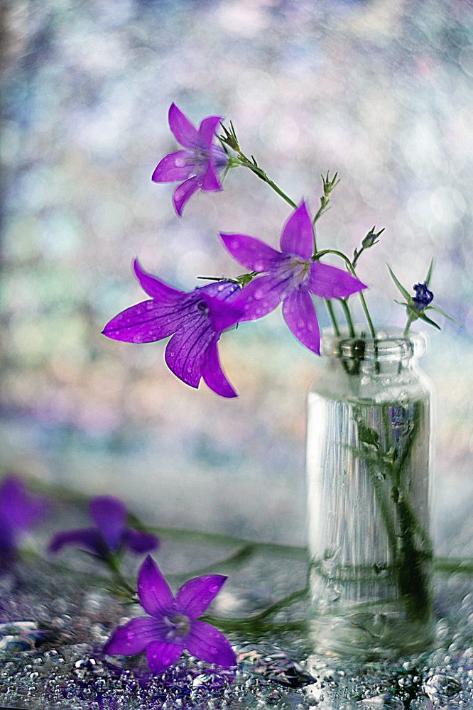 Photograph by Александра Коновалова