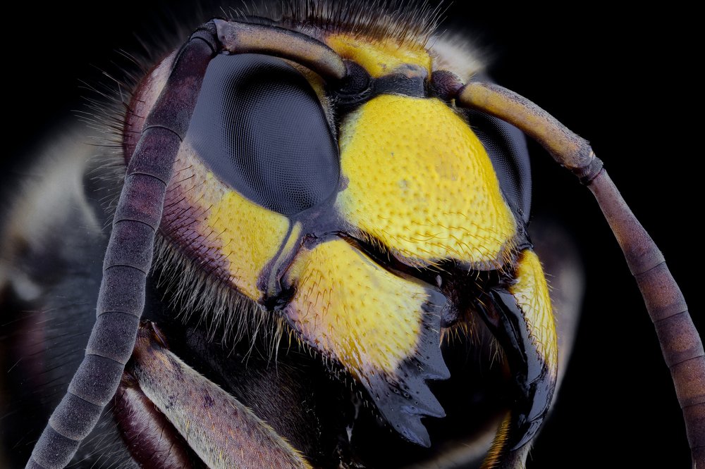 Photograph by Dobrin Ivanov