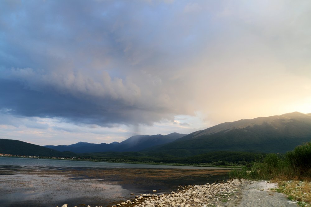 It rains where it wants