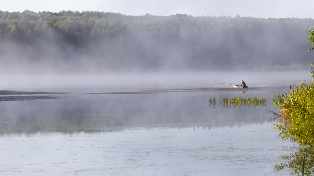РЫБАК В ТУМАНЕ