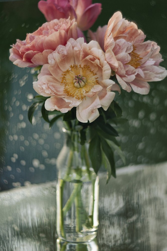 Фотография автора Marina Chebanova