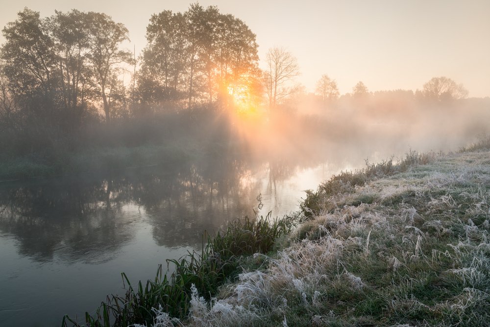 Photograph by Ольга Максимова