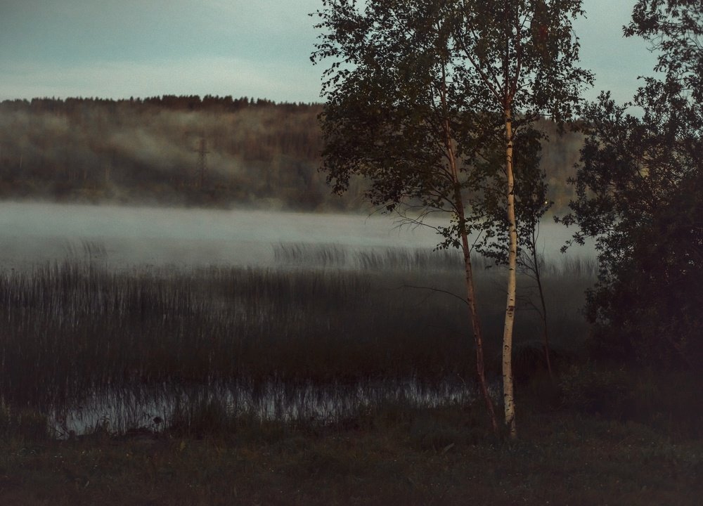 Photograph by Юлия Ильина