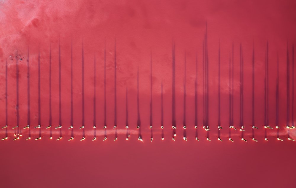 Heartbeat of the pink lake