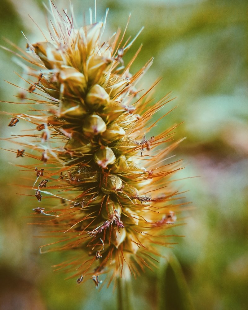 Photograph by Оля Белоусова