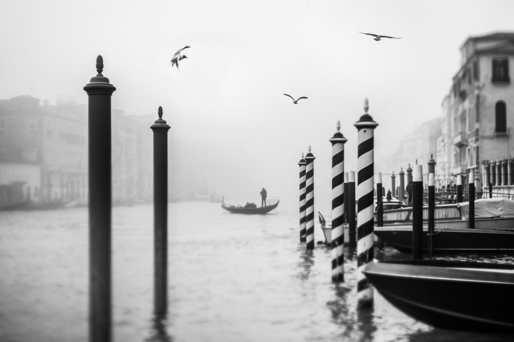 Photograph by Tatiana Malysheva