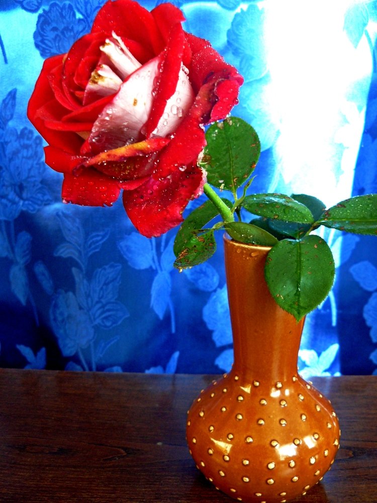 Photograph by леонид натапов