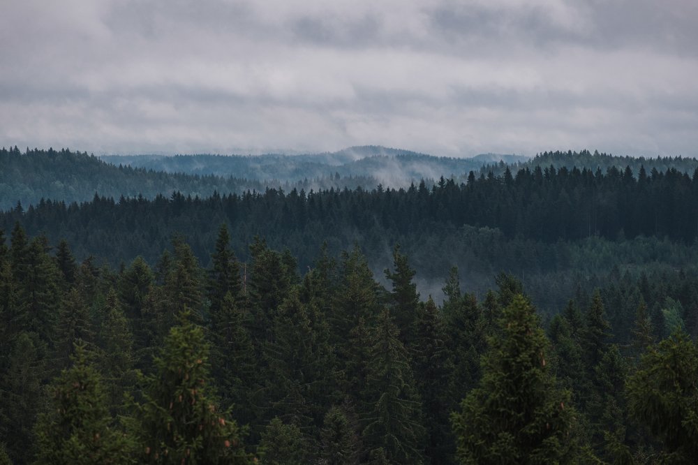 Photograph by Ольга Аристархова