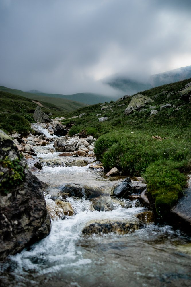 Photograph by Евгения Ежова