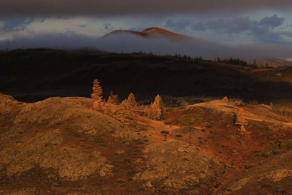 Туманные холмы