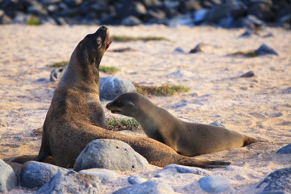 Photograph by Ирина Худзинская