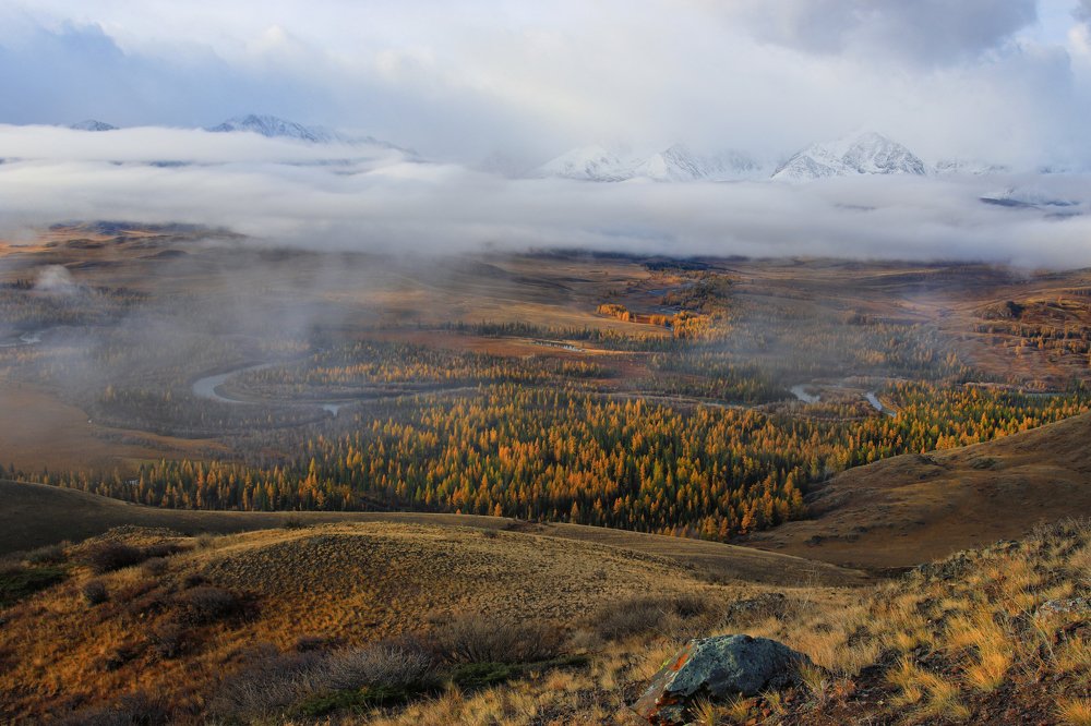 Меандры Чуи в Курайской степи
