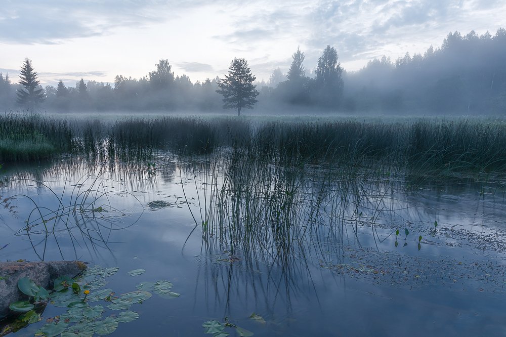 Фотография автора Лана Григорьева