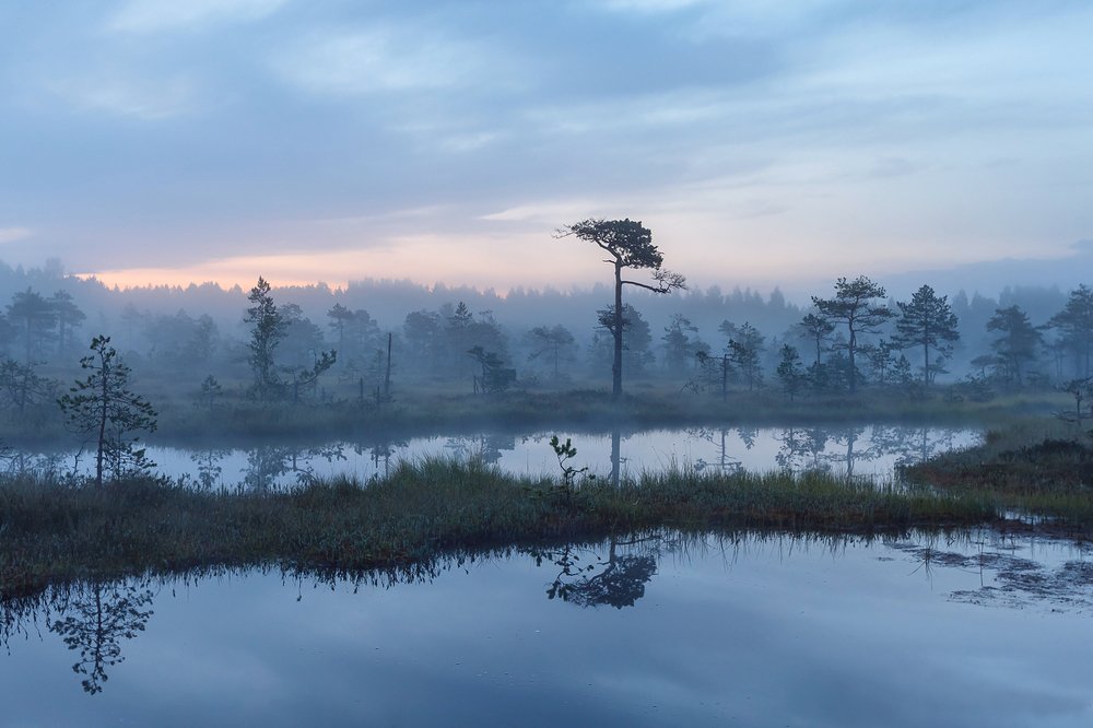 Фотография автора Лана Григорьева