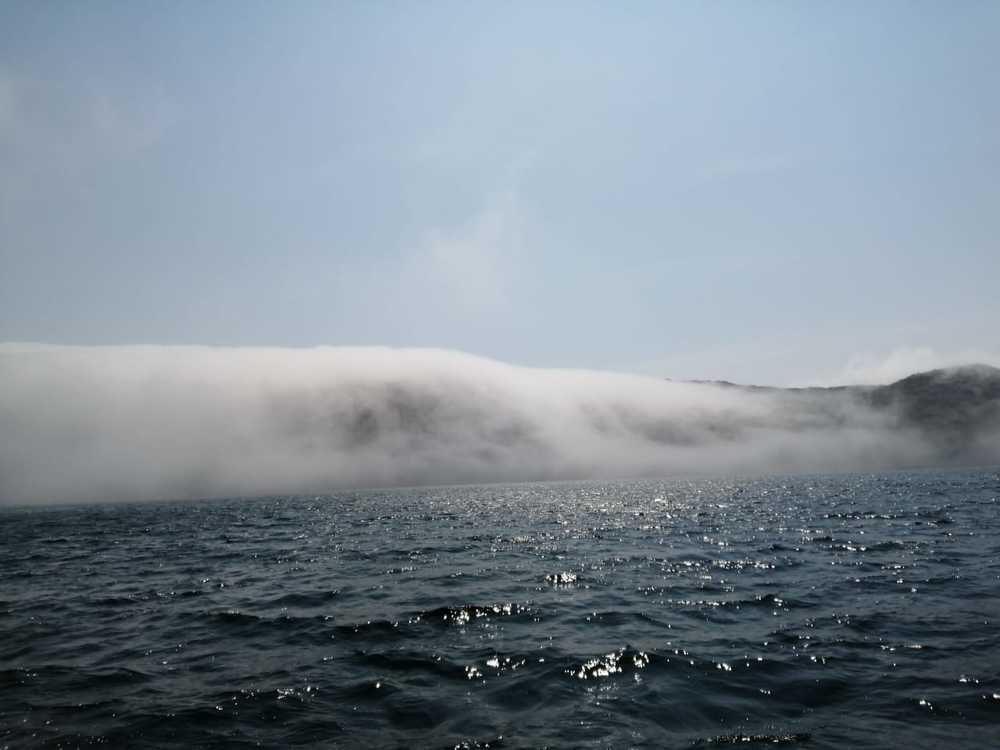 Photograph by Павел Потапов