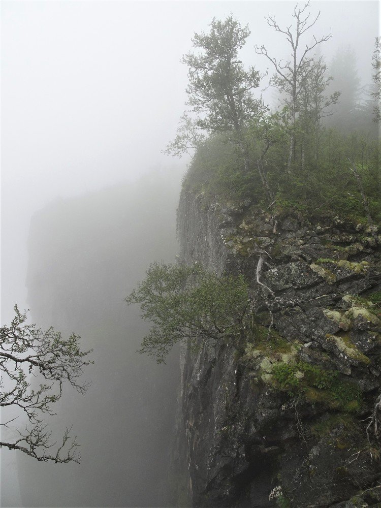 Photograph by Людмила