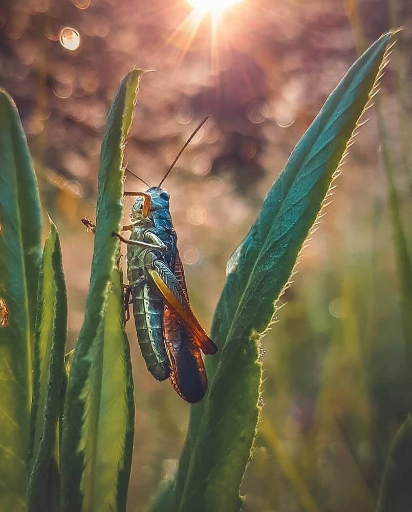 Photograph by Angelina Bukina