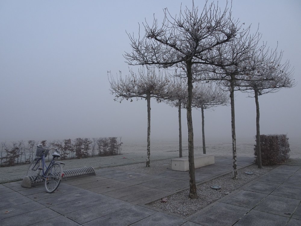 Photograph by Людмила