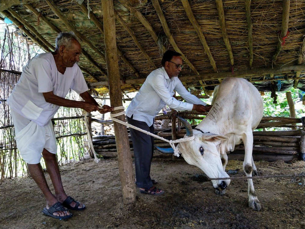 Photograph by sumit sitole