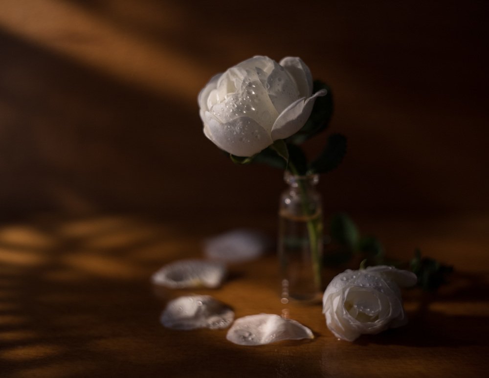 Право выбора