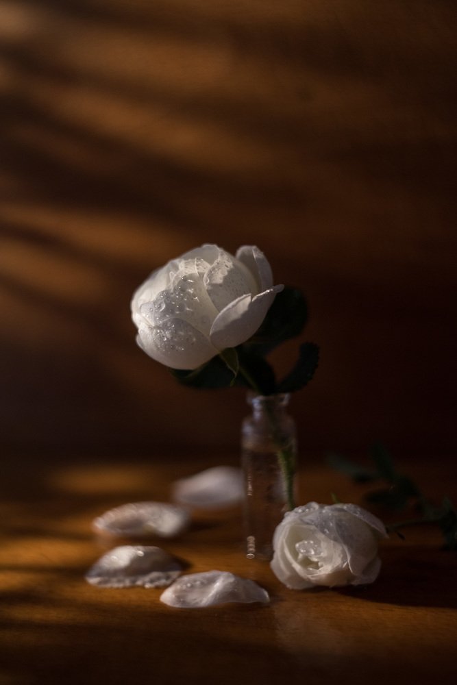 Фотография автора Римма Савина