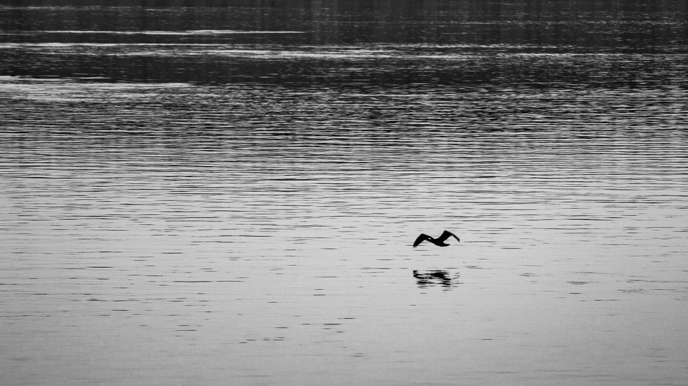 Photograph by Александр Шарамазов