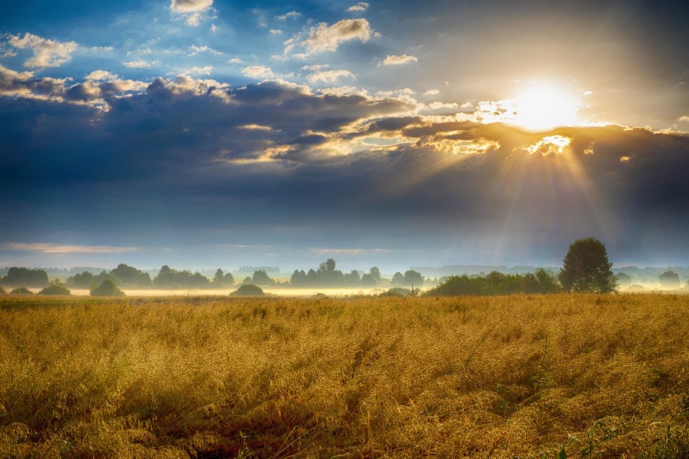 Photograph by Андрей Ныриков