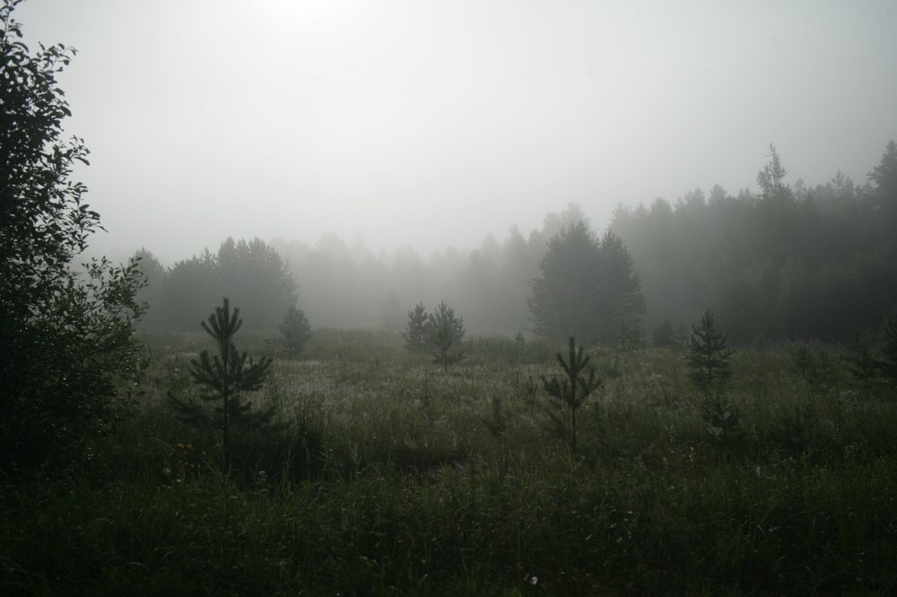 Фотография автора Андрей Шувалов