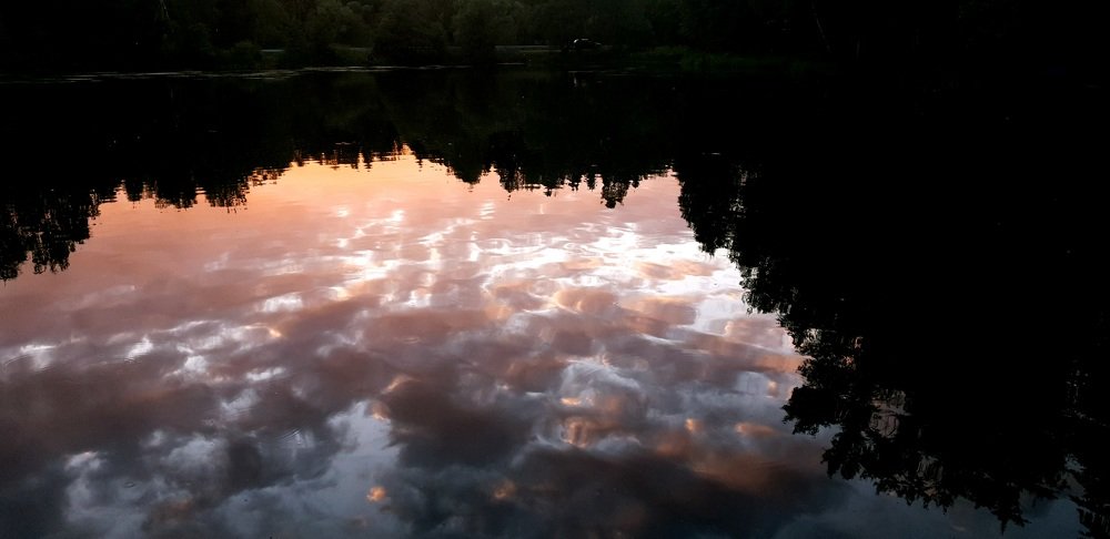 Photograph by Алина Веремеенко