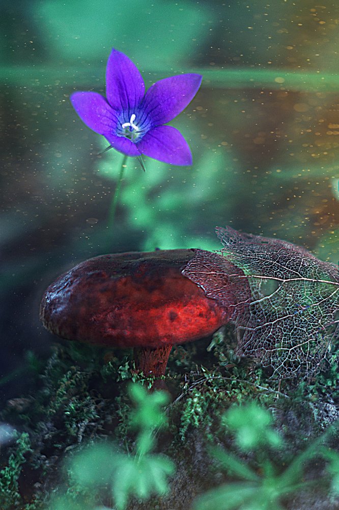 Photograph by Александра Коновалова