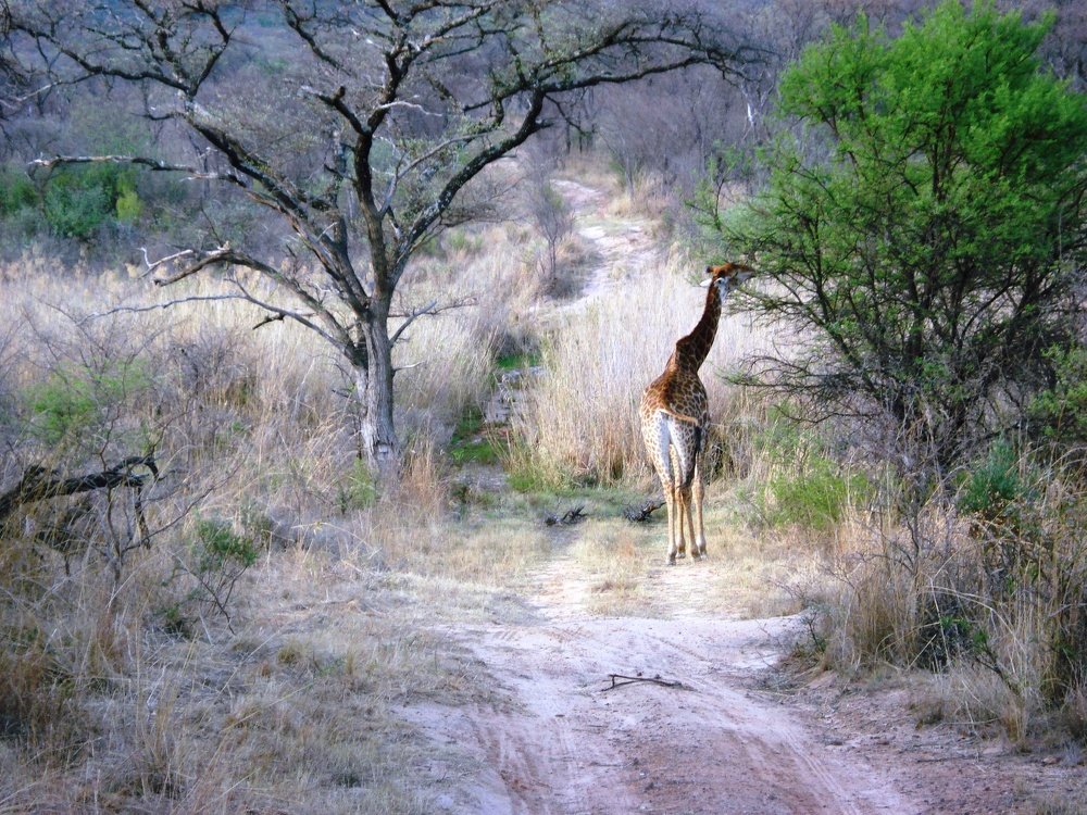 Photograph by Валентина