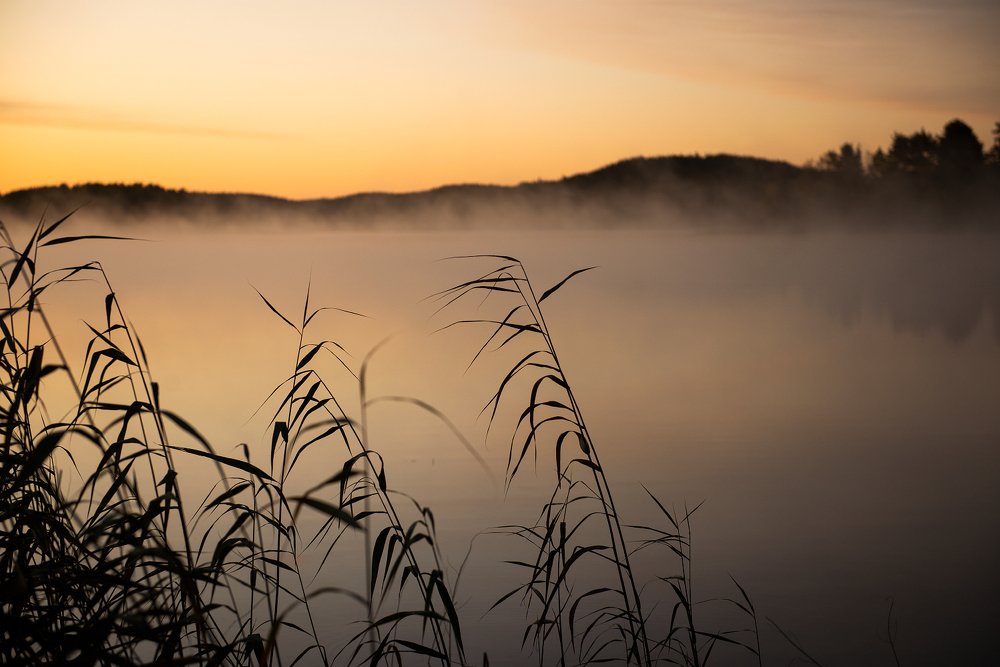 Photograph by Алёна Таланова