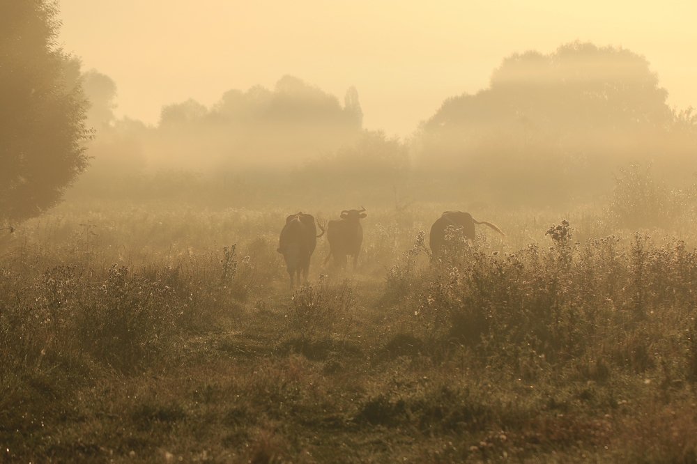 Последние дни лета