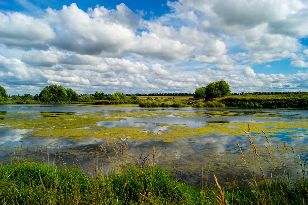 Photograph by Екатерина Бакулина