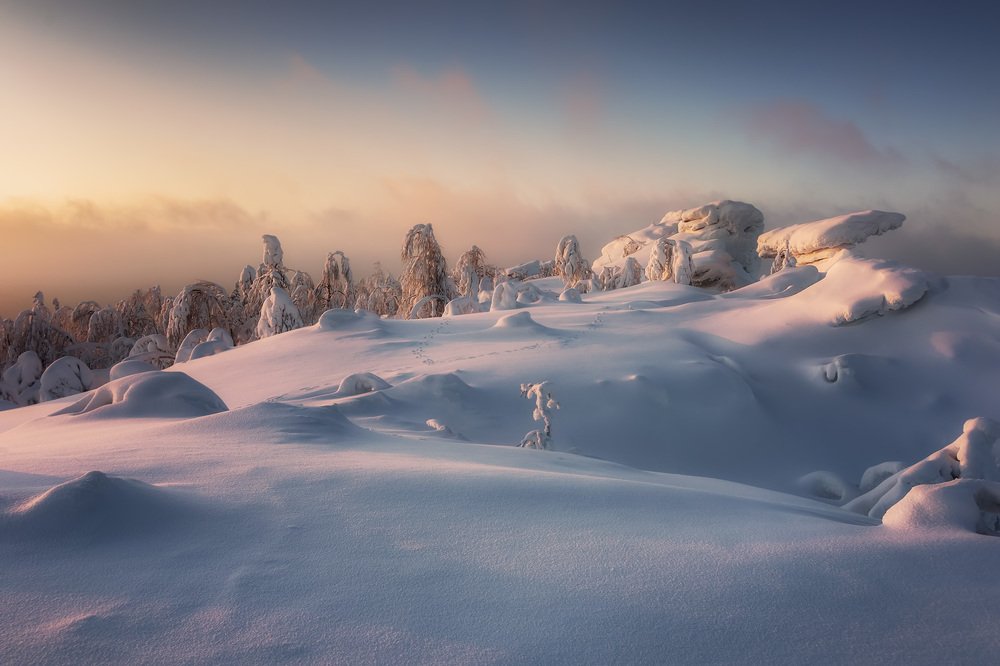 Photograph by Антон Кошетаров